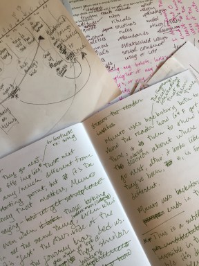 Essay drafting bits and pieces