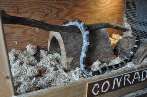 18472594_10158704604345224_225846036_o